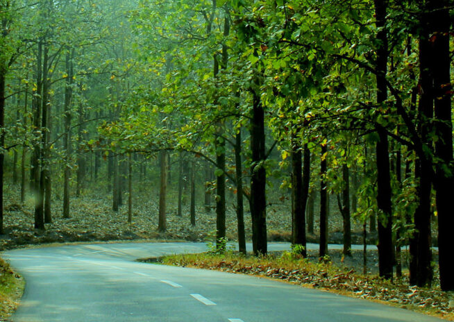 wayanad